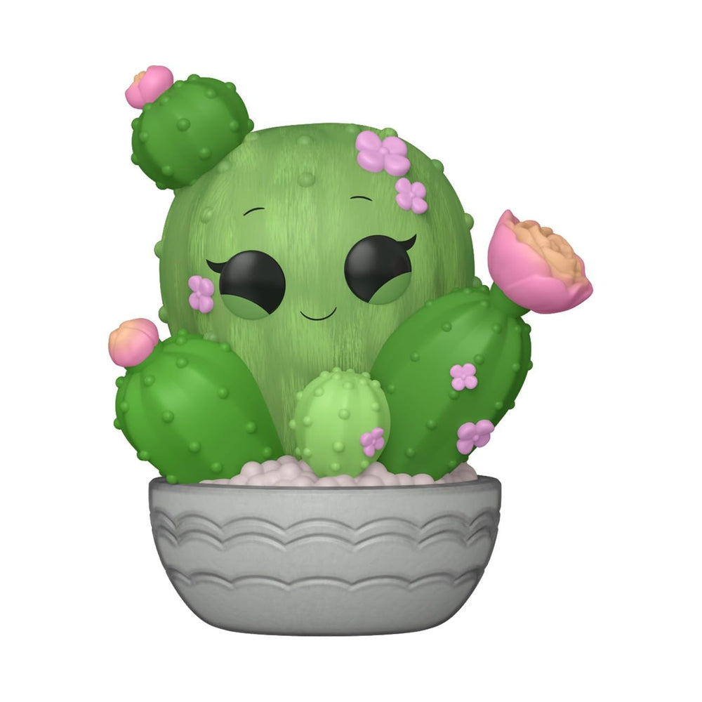 Funko Pop! Plants Flora Barrel Cactus on shelf enhances your collection display.
