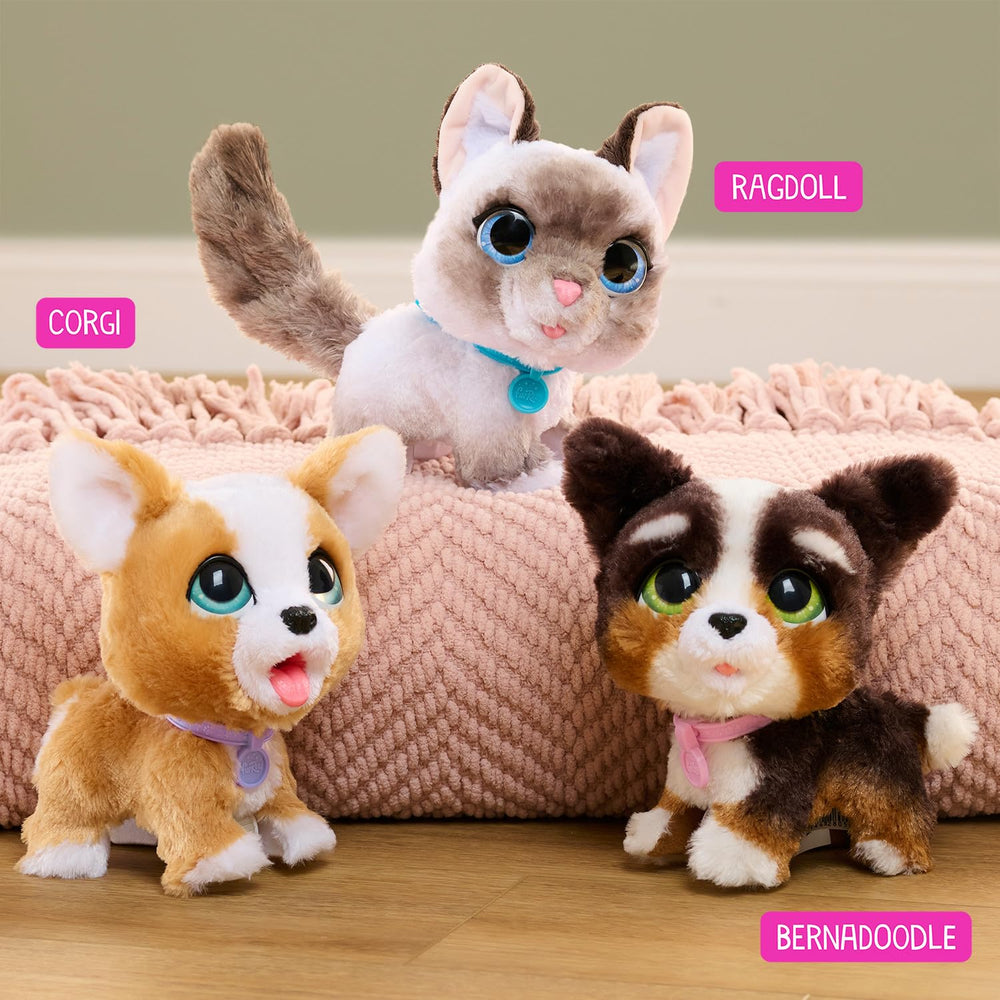 furReal Poop-A-Lots Corgi cuddle-time promotes imaginative storytelling.