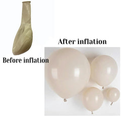 GaesQae ivory white balloons 12-inch create bold focal points