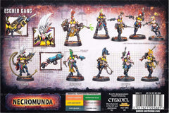 Escher heads and respirator masks offer diverse character options for Escher figures