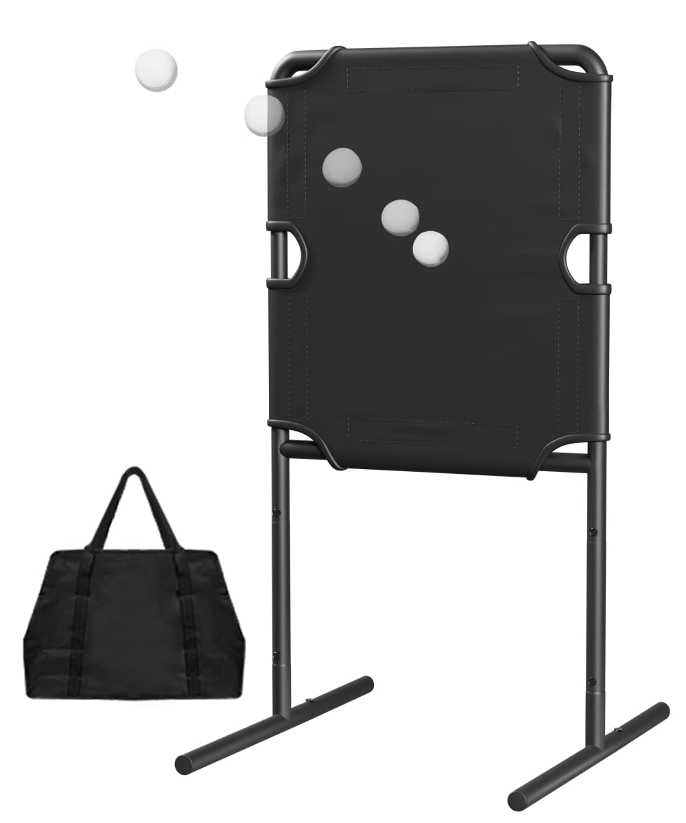 Garbuildman baseball strike zone target setup in backyard for easy practice