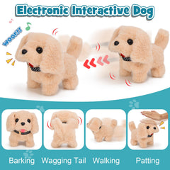G.C 22Pcs Dog Vet Kit: doctor costume set enhances imaginative roleplay and empathy