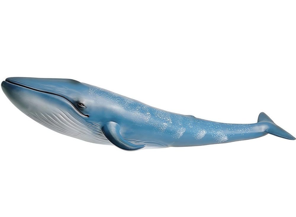 Gemini&Genius blue whale in water for engaging bath-time play.