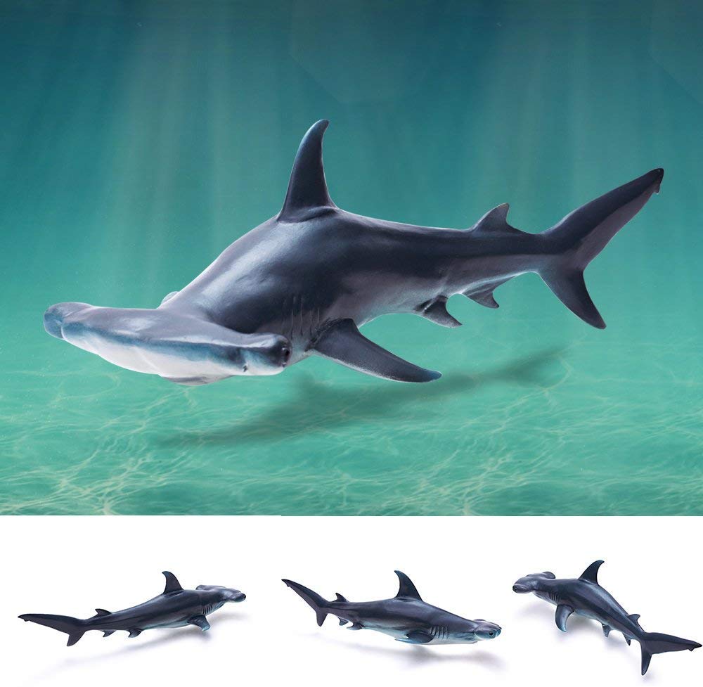 Gemini&Genius hammerhead shark toy on the beach, inspires imaginative ocean adventures.