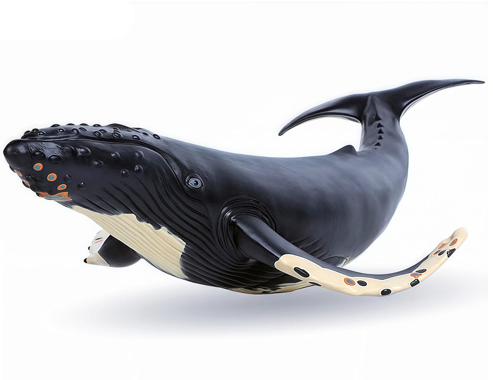 Gemini&Genius humpback whale action figure, front view, ideal bath companion for imaginative play.