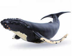 Gemini&Genius humpback whale action figure, front view, ideal bath companion for imaginative play.