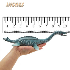 Gemini&Genius Plesiosaurus on display for a growing collection and shelves.