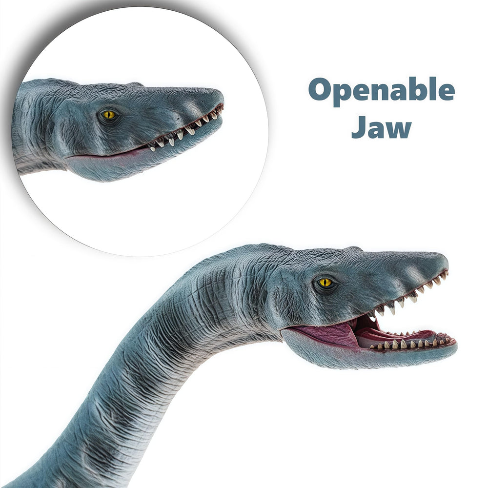 Plesiosaurus diorama color box by Gemini&Genius for display and gifting.