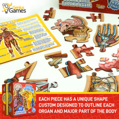 Genius Games cross-section design helps kids visualize anatomy during build.