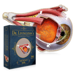 Genius Games Dr Livingston's eye anatomy puzzle cover highlighting labeled parts for study