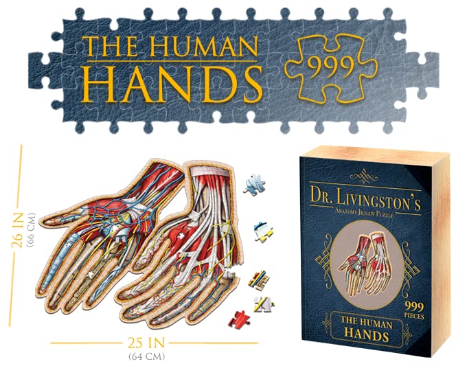 Genius Games Dr. Livingston's Hands puzzle close-up details highlight bone structure and joints.