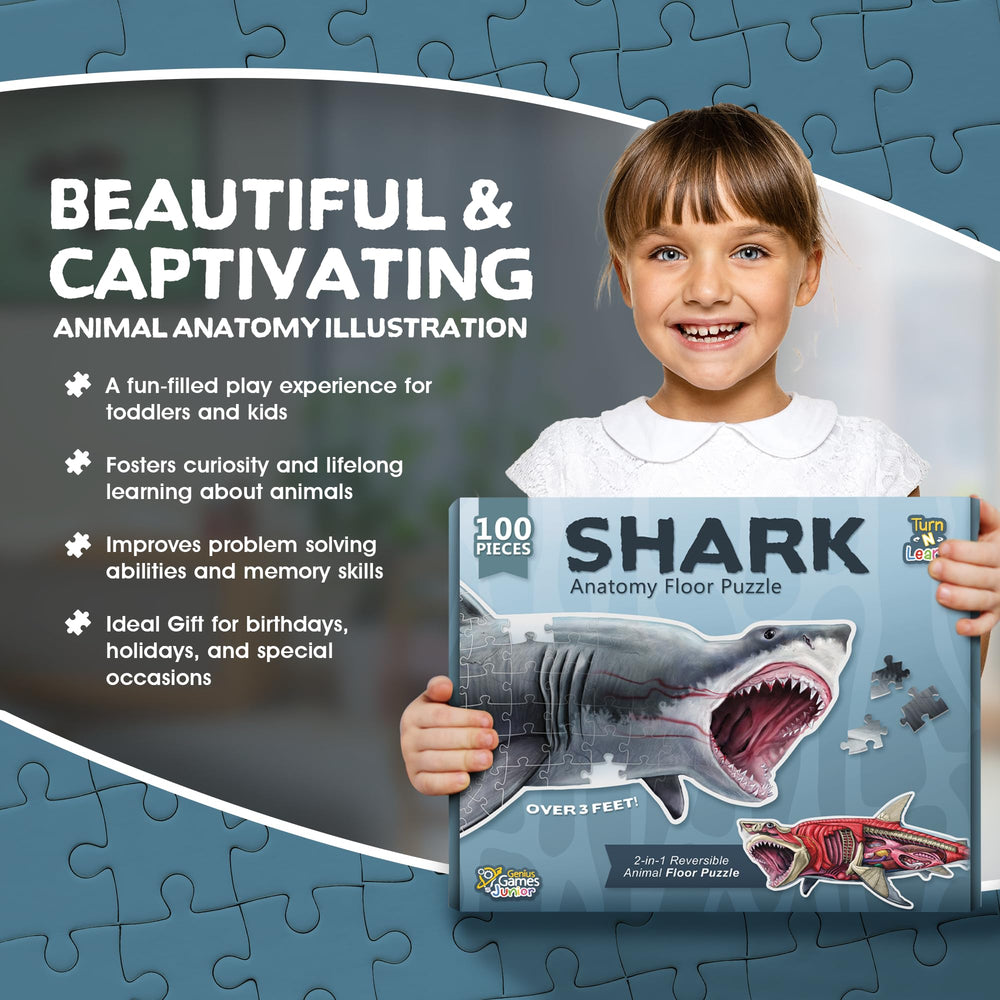 Genius Games family-play scene promotes cooperative learning and shared achievement.