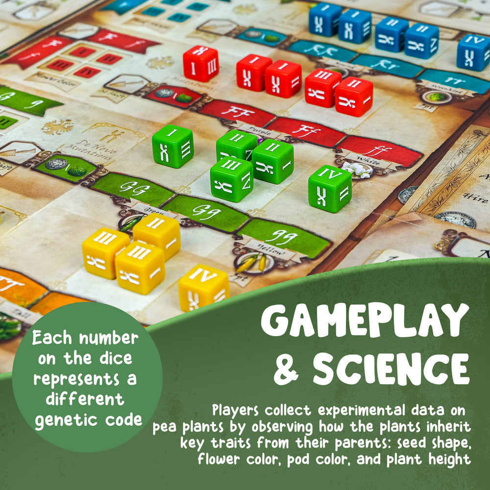 Genius Games Genotype solo mode provides a distinct, independent challenge.