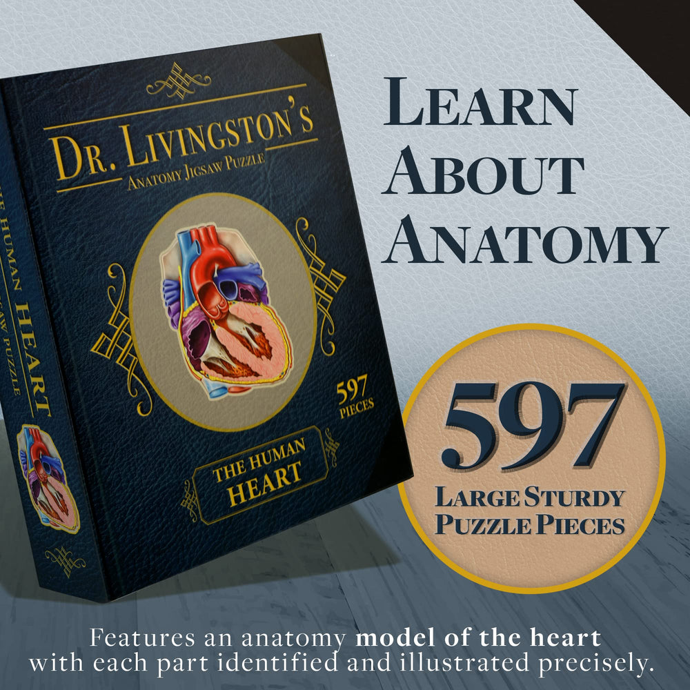 Genius Games heart anatomy interlocking pieces demonstrate vascular connections for hands-on learning