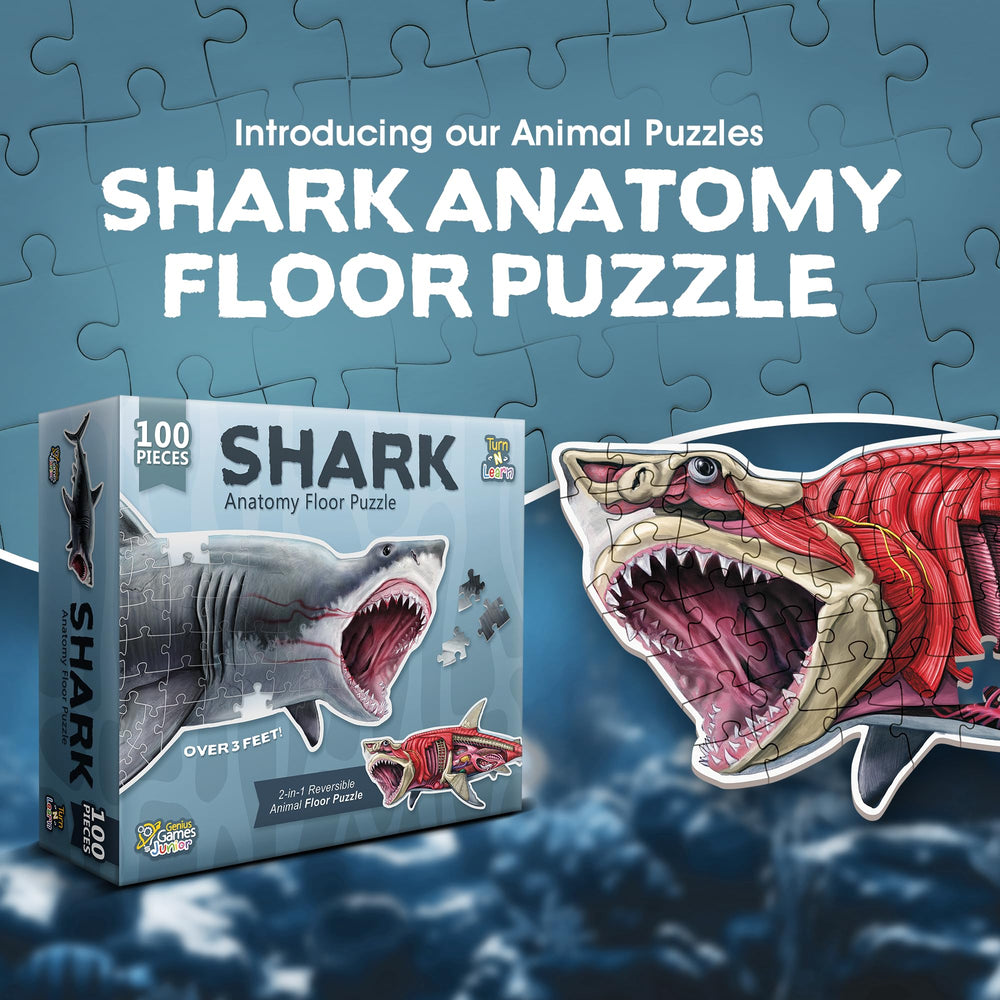 Genius Games shark anatomy diagram shows precise details for science exploration.