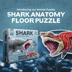 Genius Games shark anatomy diagram shows precise details for science exploration.