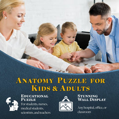 Genius Games brain puzzle for teens and adults makes science accessible and engaging.