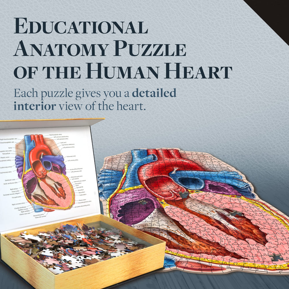 Genius Games wall-display heart puzzle when finished creates a dramatic classroom exhibit