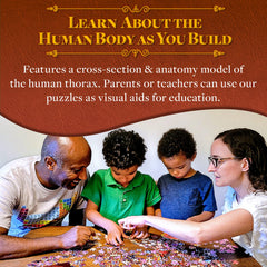 Genius Games wall-display-ready image demonstrates durable display in classrooms or clinics.