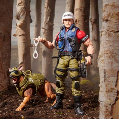 G.I. Joe Classified goggles, collar, and harness on K-9 Order