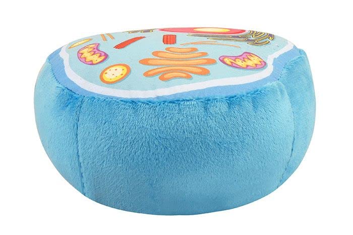 GIANT MICROBES cytoplasm plush provides overall cell context for study.