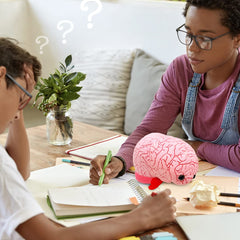 GIANT MICROBES Brain Plush desk decor for classrooms and offices.