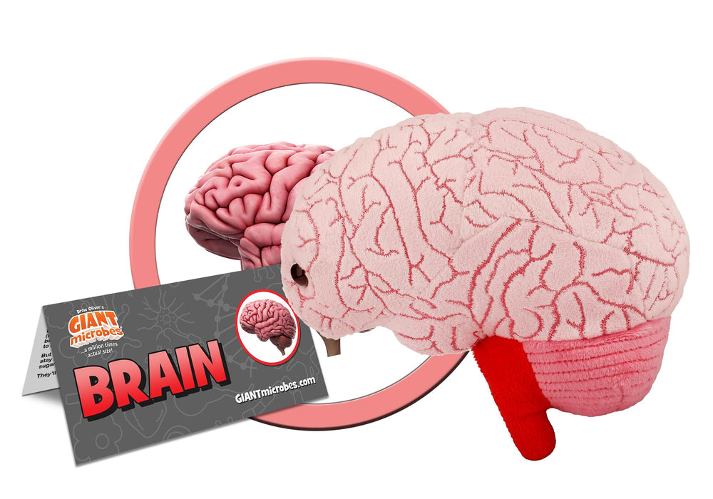 GIANT MICROBES Brain Plush embroidery details showing anatomy landmarks.
