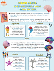 GIANT MICROBES Brain Plush ideal gift for students and learners.