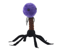 GIANT MICROBES T4-Bacteriophage makes a unique, memorable gift for students and educators.
