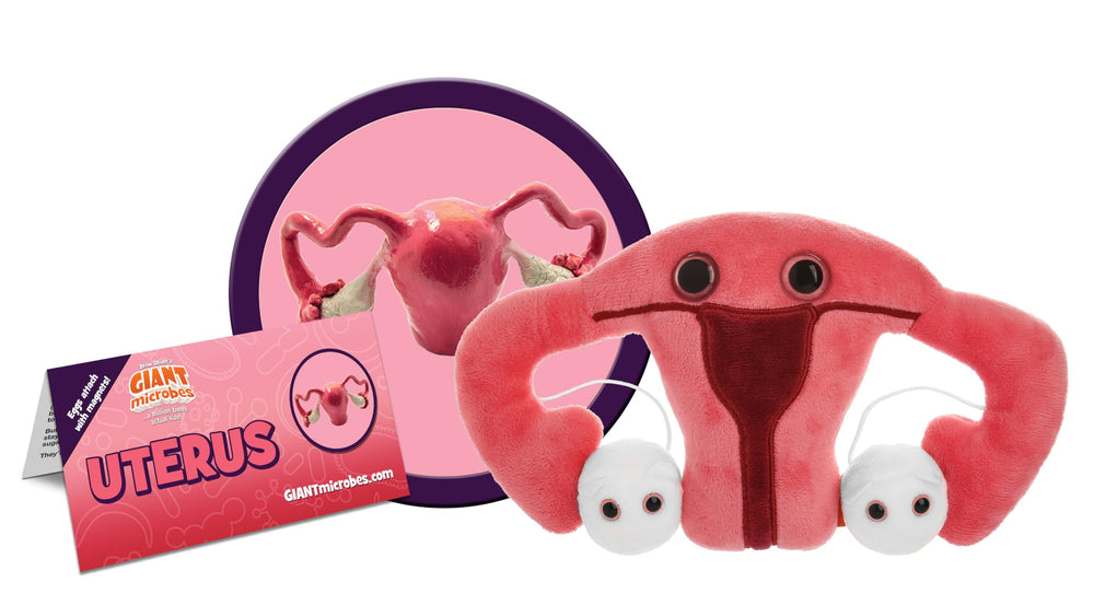 GIANT MICROBES uterus plush with magnetized ovaries for interactive learning.