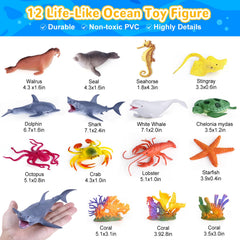 GINMIC Ocean Animals Playset Dolphin toy designed for gentle handling and interactive learning