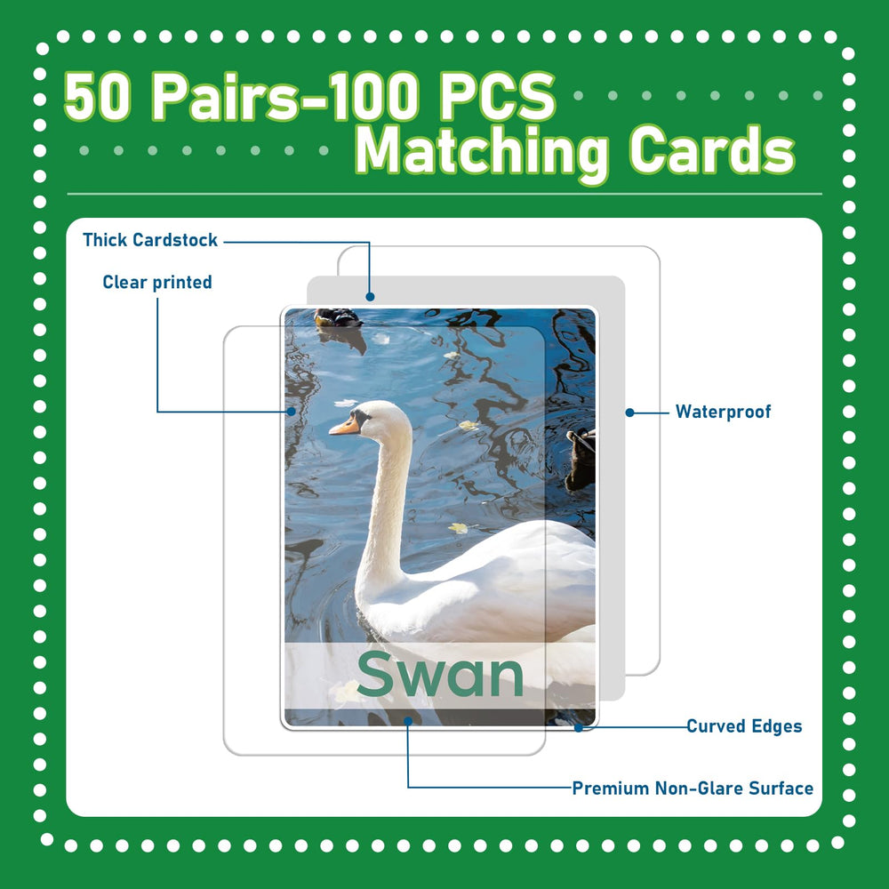 gisgfim card size 6x8 cm for comfortable handling by kids