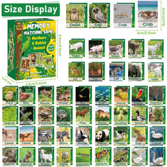 gisgfim kitten and mother cat memory card for matching and concentration practice