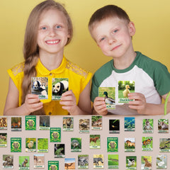 gisgfim tiger and cub memory card for fast matching challenges