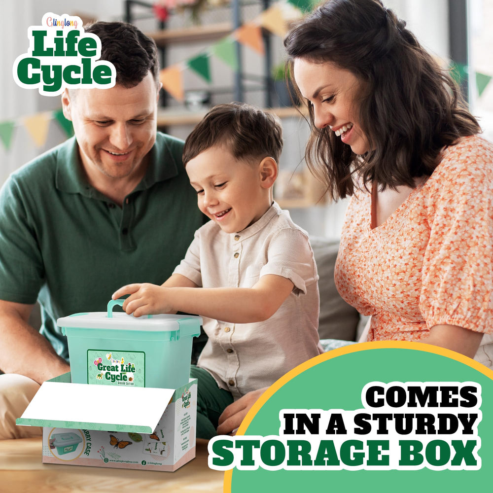 GLINGLONG Life Cycle Animal Kit bee figures promote early biology vocabulary through interaction.