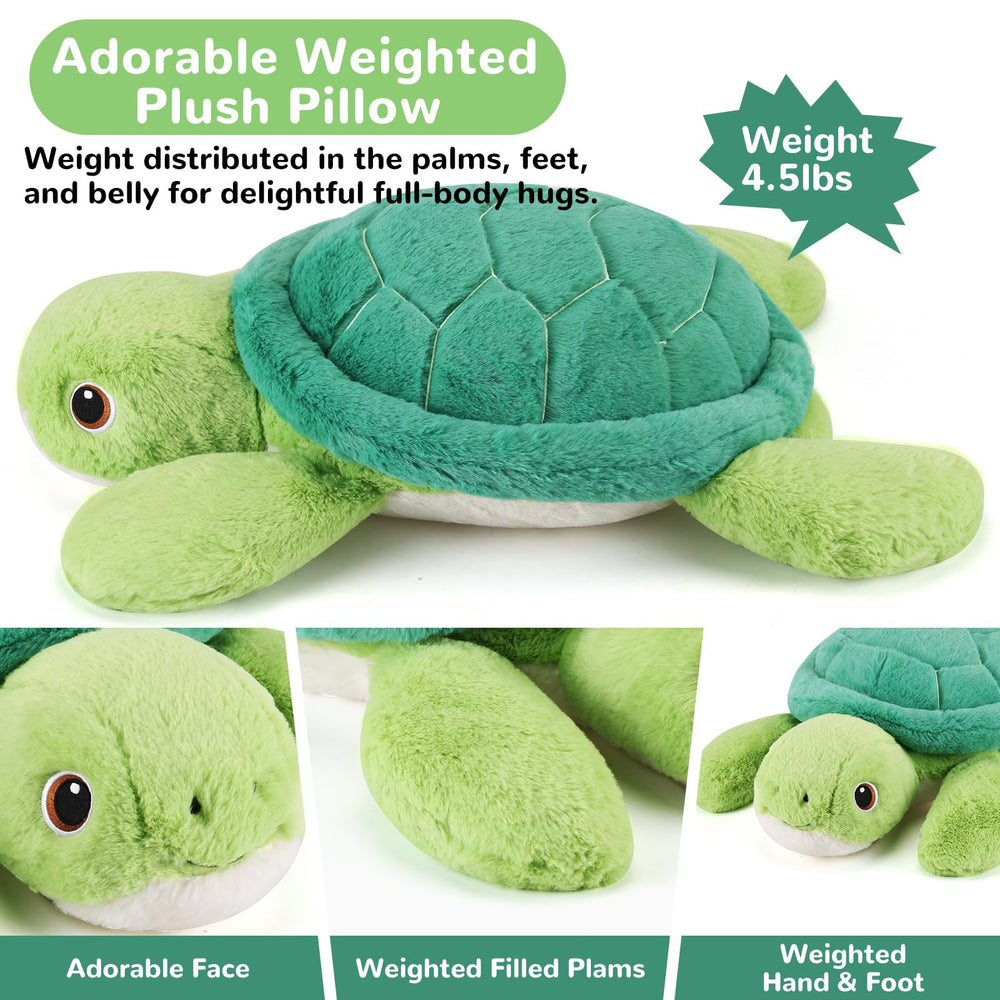 gnomantic weighted turtle face detail adds a friendly, inviting look