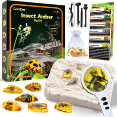 GobiDex Amber Dig Kit packaging shows educational appeal for curious kids.