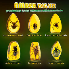 GobiDex Amber Dig Kit excavation tools set for hands-on discovery.
