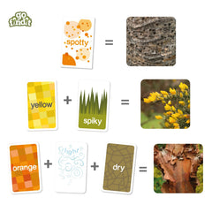 gofindit sensory discovery outdoors promoting curious exploration