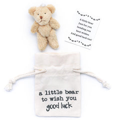 Good Luck Gift Pocket Bear front view, a thoughtful exam encouragement keepsake.