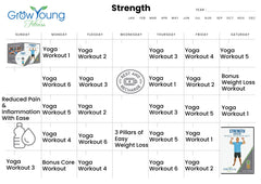 Grow Young Fitness Strength Exercise DVD two bonus videos for extra practice at home.