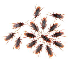 GUDVES prank roaches for Halloween decor, brown color adds realism.