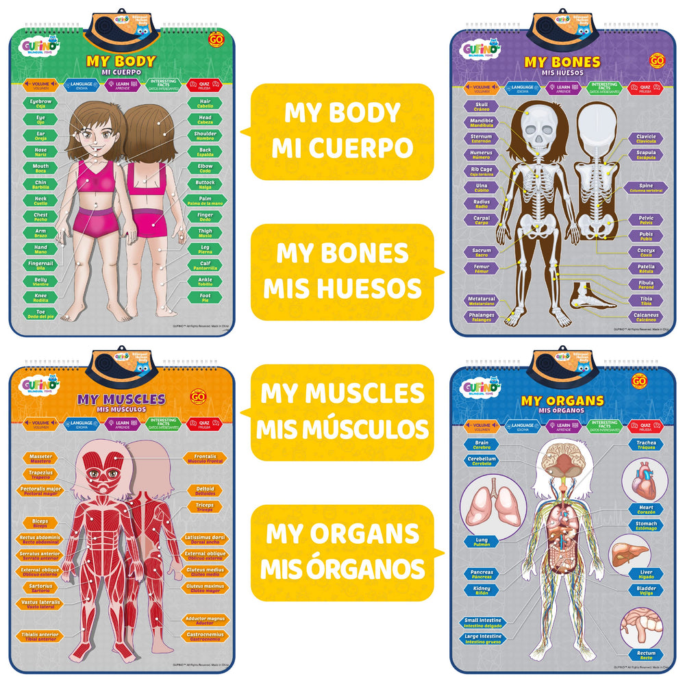 GUFINO pronunciation-friendly bilingual anatomy vocabulary boosts two-language terms