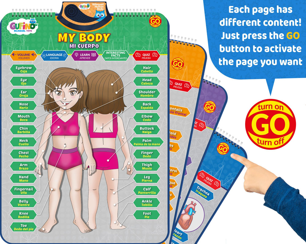 GUFINO screen-free body learning poster encourages curiosity about the human body