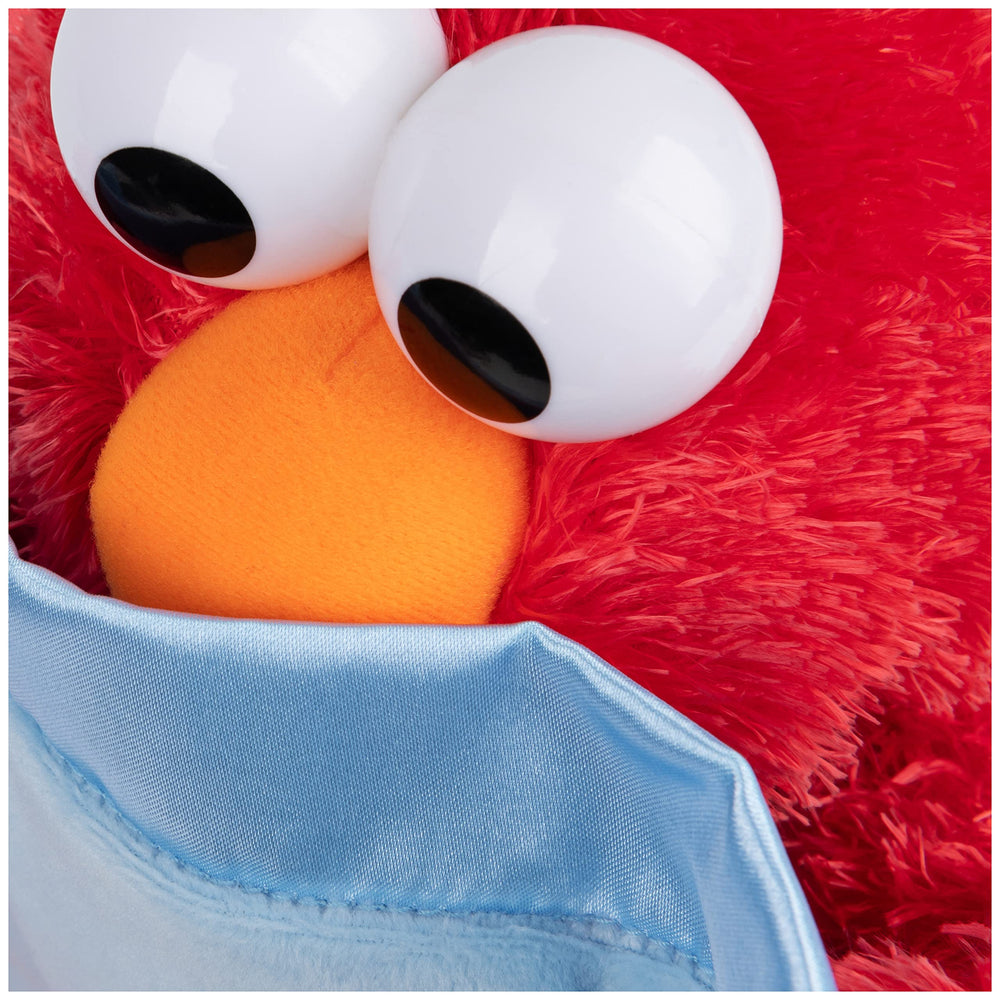 Official Sesame Street licensed character with premium craftsmanship.