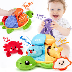 Hahaland turtle peekaboo toy with sea creatures promotes early language and recognition