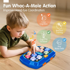 Hahaland Whack-a-Mole single-player action grid boosts quick reflexes and focus
