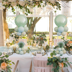 Hanna Roberts transparent acrylic material enhances modern decor