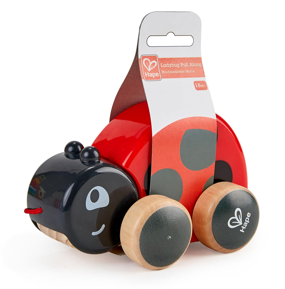 Hape Ladybug colorful design with friendly face boosts curiosity.