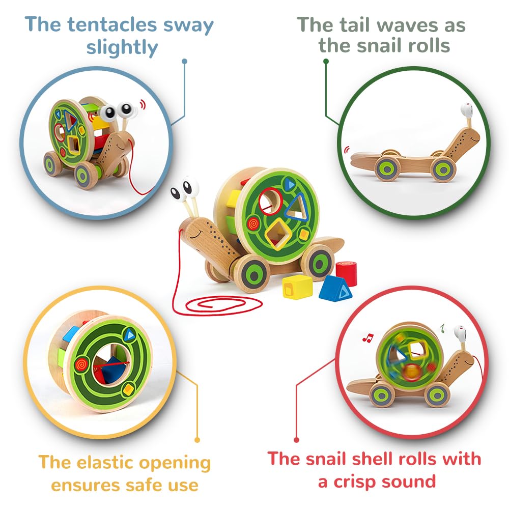 Hape Walk-A-Long Snail uses water-based, non-toxic paint for safe, durable play